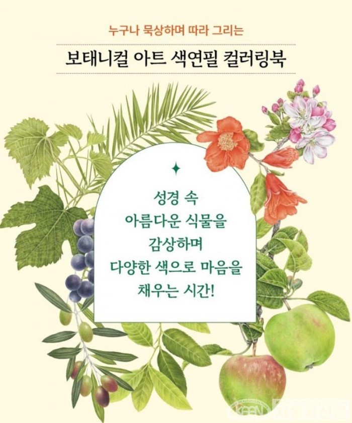 (신간) 나의 성서식물 색연필 컬러링북.jpg